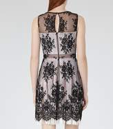 Thumbnail for your product : Reiss Eleonora Lace And Fringe Dress