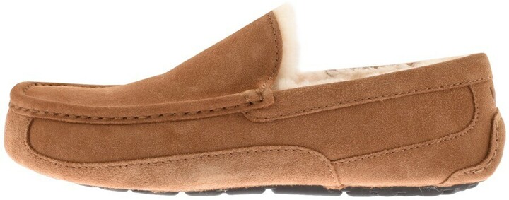 Ugg Ascot Slippers | Shop the world's largest collection of fashion |  ShopStyle UK