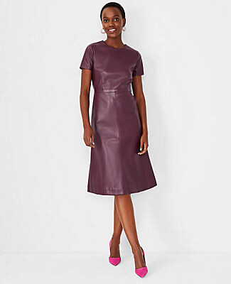 Ann Taylor Faux Leather Flare Dress