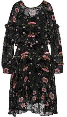 Preen by Thornton Bregazzi Floral-Print Devoré-Velvet Chiffon Dress