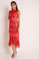 Thumbnail for your product : Next Lipsy VIP Lace Contrast Midi Dress with Flute Hem - 4