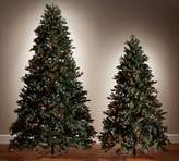 Thumbnail for your product : Pottery Barn Lit Faux Blue Spruce Christmas Trees