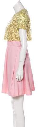Christian Dior Lace-Paneled Mini Dress Pink Lace-Paneled Mini Dress