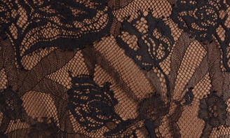 Tadashi Shoji Embroidered Lace Dress
