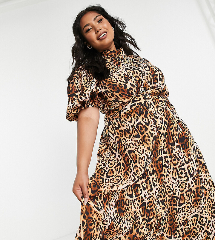 Plus Size Leopard Print Dress | ShopStyle UK