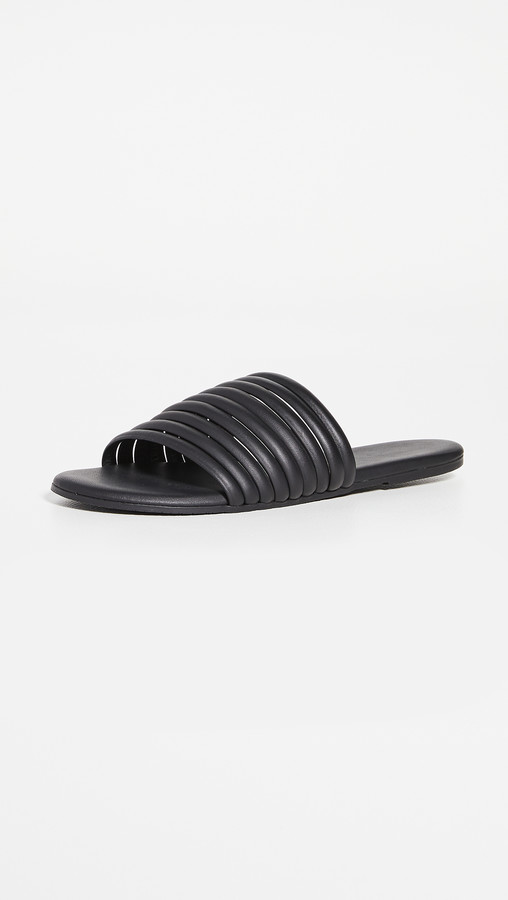 tkees caro black