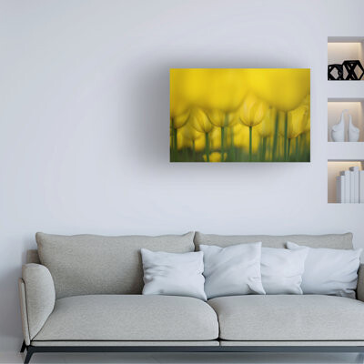 Ebern Designs Takashi Suzuki Yellow One Color Canvas Art
