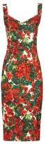 Thumbnail for your product : Dolce & Gabbana Geranium-print Pannelled Midi Dress - Red Multi