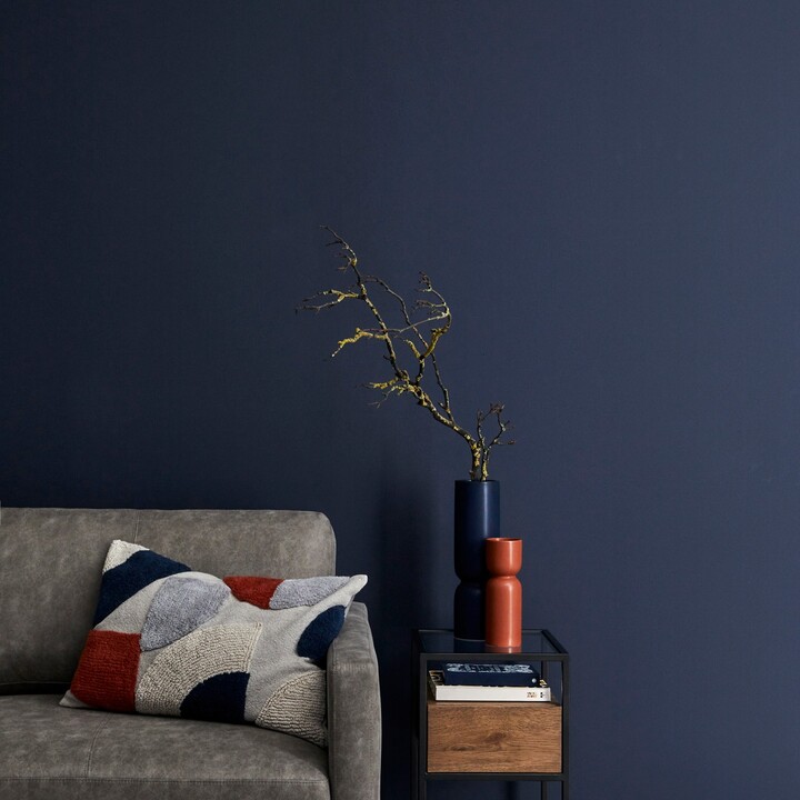 Dunelm Luxe Navy Eggshell Emulsion Paint Navy Blue ShopStyle Artwork
