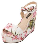 Thumbnail for your product : Dolce & Gabbana Floral Platform Wedges