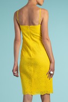trina turk central lace dress