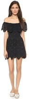 Thumbnail for your product : Nightcap Clothing Riviera Lace Fit & Flare Dress