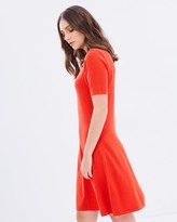 Thumbnail for your product : Dorothy Perkins Fit and Flare Knitted Dress