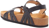 Thumbnail for your product : Sofft Baretta Sandal