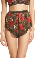 Thumbnail for your product : KILO BRAVA Embroidered Tap Shorts