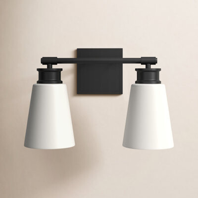AllModern Earnest 2-Light Dimmable Vanity Light