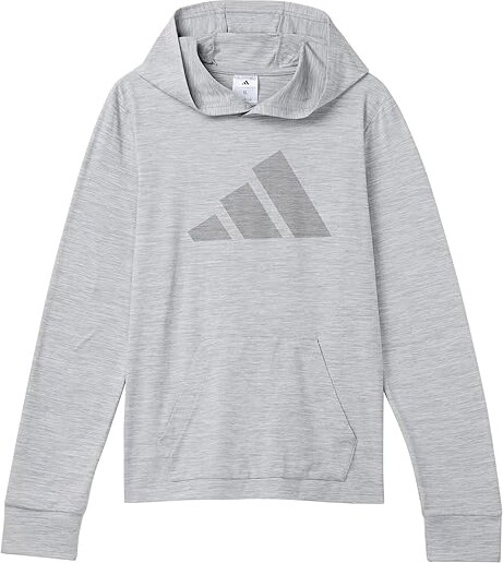 Adidas Originals Kids All Sport Poly Hooded Pullover (Big Kid) Boy's Sweatshirt Halo Silver Heather : LG (14-16 Big Kids), Elastane/Jersey/Polyester
