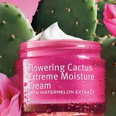 Thumbnail for your product : Grassroots TM flowering cactus extreme moisture cream with watermelon extract