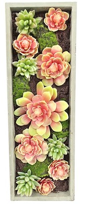Gold Eagle Mixed Succulents Rectangle Wall Planter