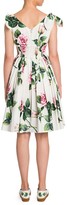Thumbnail for your product : Dolce & Gabbana Rose Print Tie-Shoulder Fit-&-Flare Dress