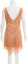 Thumbnail for your product : Haute Hippie Fringe Accented Silk Dress