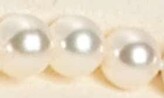Thumbnail for your product : Mikimoto Boxed Akoya Pearl Set