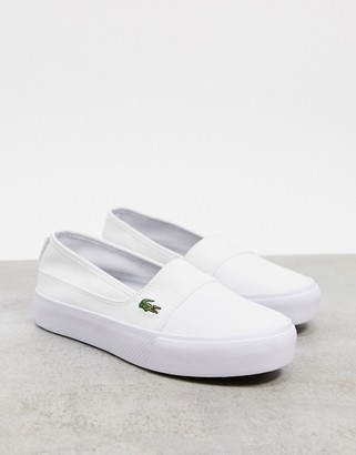 lacoste slip on