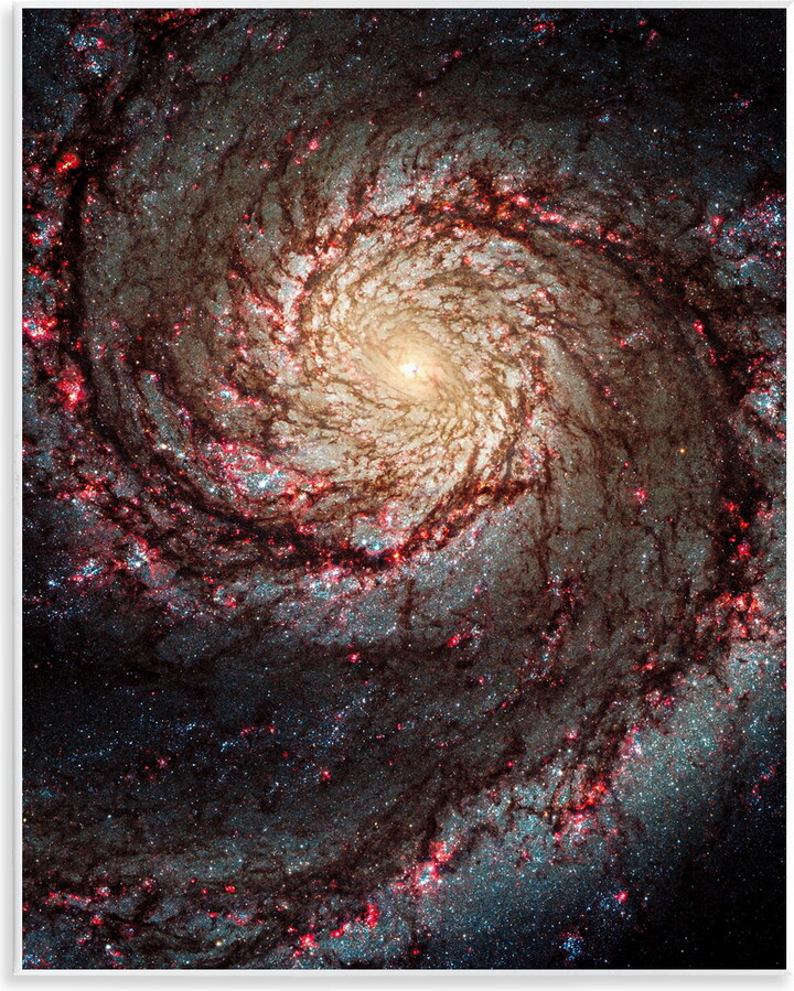 Stupell Industries Great Beyond Nebula Animals & Insects Photography Unframed Art Print Wall Art, 11 x 14