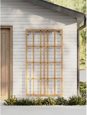 Modern Cedar Wood Trellis, Golden Brown