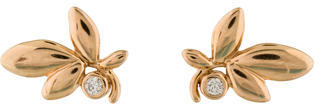 Tiffany & Co. Olive Leaf Earrings