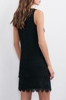 Thumbnail for your product : Velvet Cosmo Lace Dress