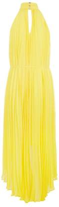 Ted Baker Nadette Pleated Maxi Dress