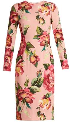 Dolce & Gabbana Round-neck rose-print crepe-cady dress