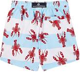 Thumbnail for your product : Snapper Rock Kids' Lobster-Print Striped Swim Trunks