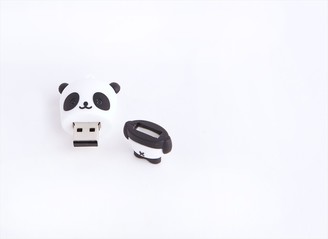 Garage Panda USB Key