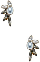 Thumbnail for your product : Elizabeth Cole Pearl & Swarovski Crystal Drop Earrings
