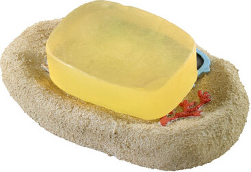 Beach Mode Bath Soap Dish