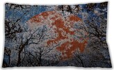 Thumbnail for your product : Red Barrel Studio Outdoor Square Pillow Cover & Insert