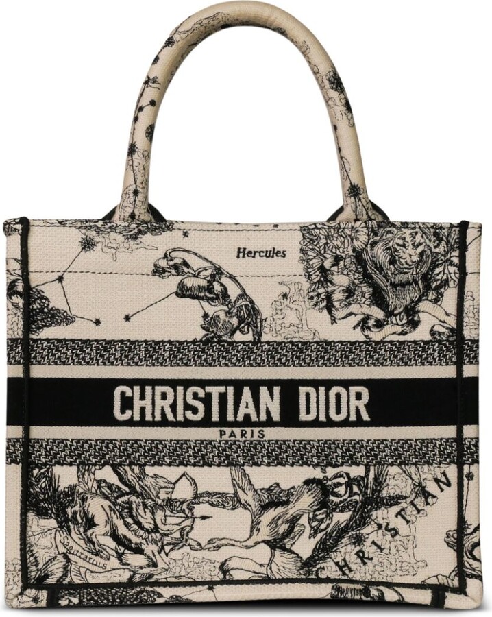 Dior Dior Women FallWinter 202122 Collection  Bags  Luxferity