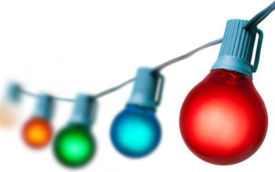 Wintergreen Lighting 50" 50 - Bulb Globe String Light