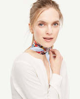 Thumbnail for your product : Ann Taylor Garden Stripe Skinny Silk Scarf