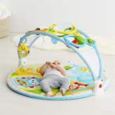 Thumbnail for your product : Skip Hop EXPLORE & MORE Amazing Arch Activity Gym
