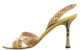 Thumbnail for your product : Manolo Blahnik Snakeskin Slingback Sandals