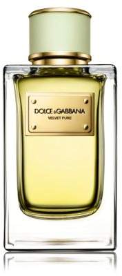 Dolce & Gabbana Velvet Pure Eau De Parfum/5 oz.