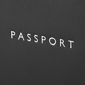 Aspinal of London Plain "Passport" Cover - Black EBL