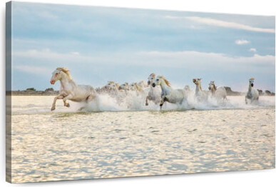 Ebern Designs Brampt Camargue Horses Running In The Water XI