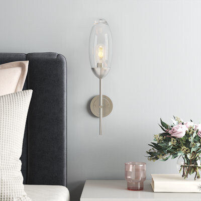 Willa Arlo Interiors Blakeley 1 - Light Iron Wallchiere