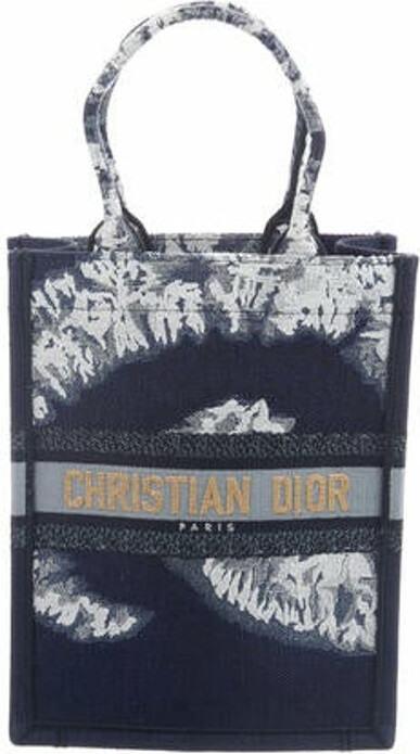 Christian Dior 2020 Small Tie Dye Vertical Book Tote - ShopStyle