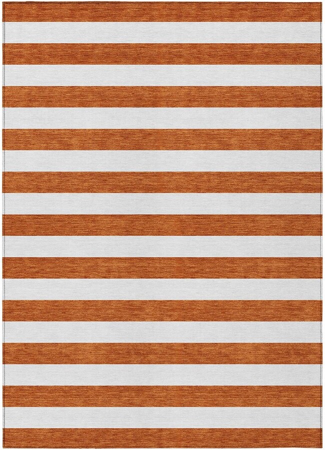 Addison Rugs Chantille Polyester Indoor/Outdoor Washable Rug