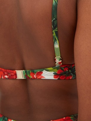 Dolce & Gabbana Portofino Floral-print Balconette Bikini Top - Red Print